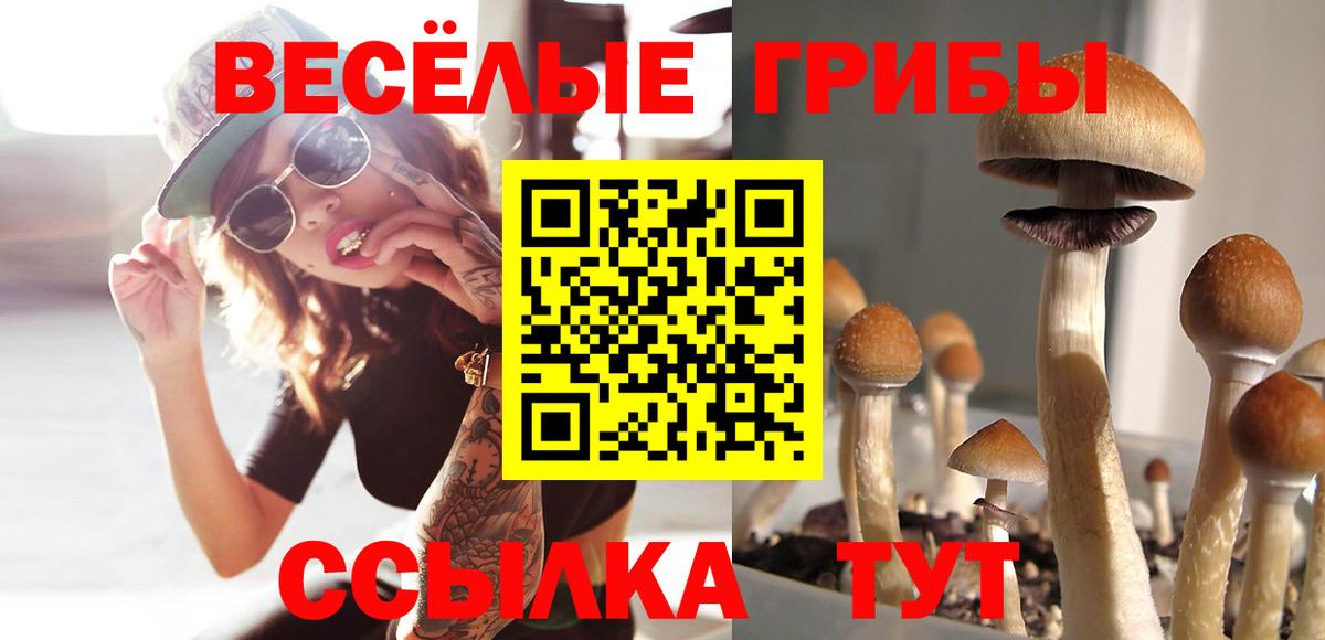 Южно-Сахалинск  Псилоцибиновые грибы Magic Shrooms  Псилоцибиновые грибы ЛСД  Вход с VPN 
